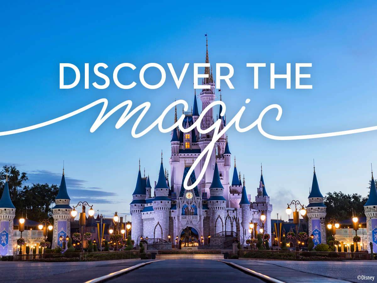Walt Disney World castle with discover the magic graphic overlay
