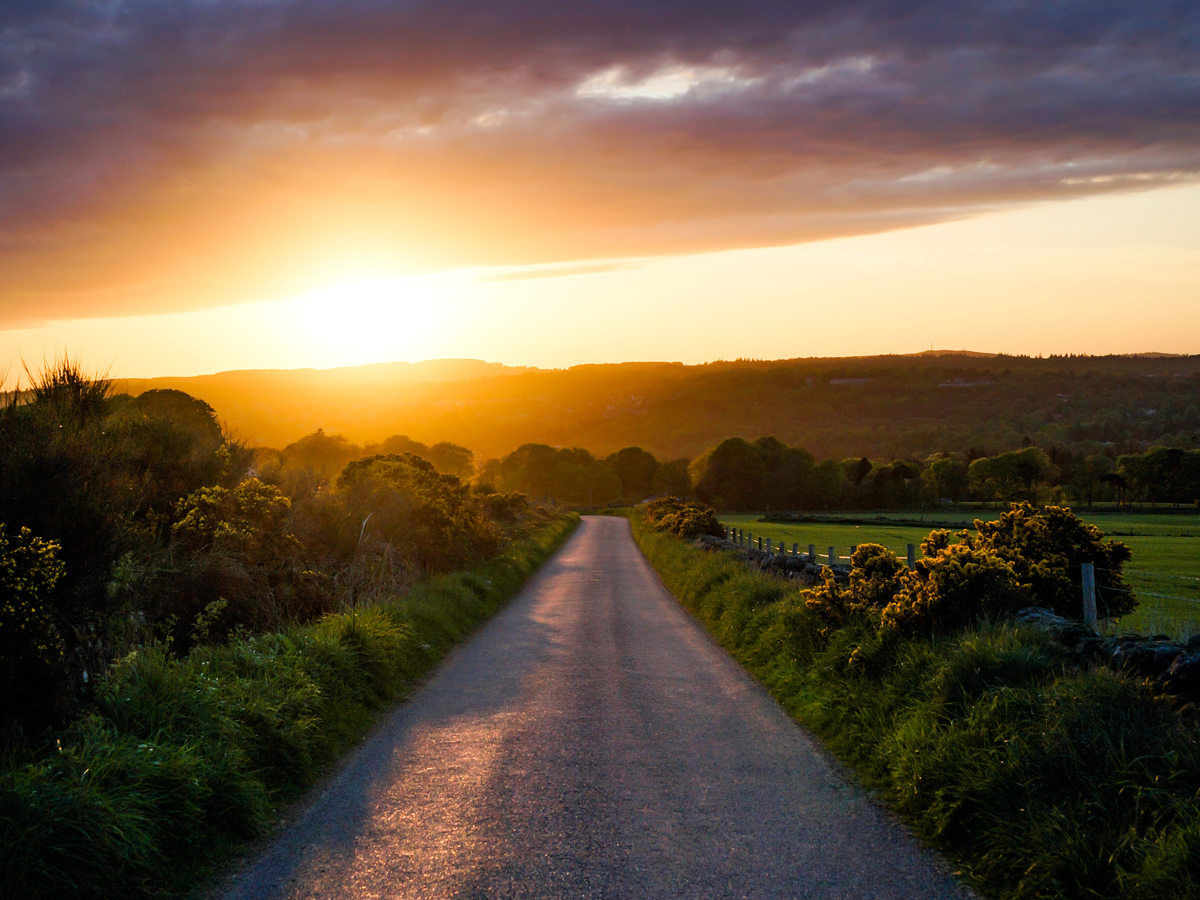 Golden hour with road