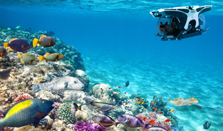 Exclusive underwater submarine viewing tropical fish and coral reefs in crystal clear blue water