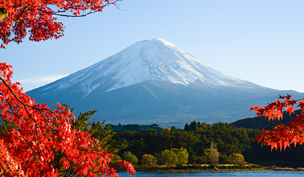 Fall foliage on the foreground with Mount Everest in the background