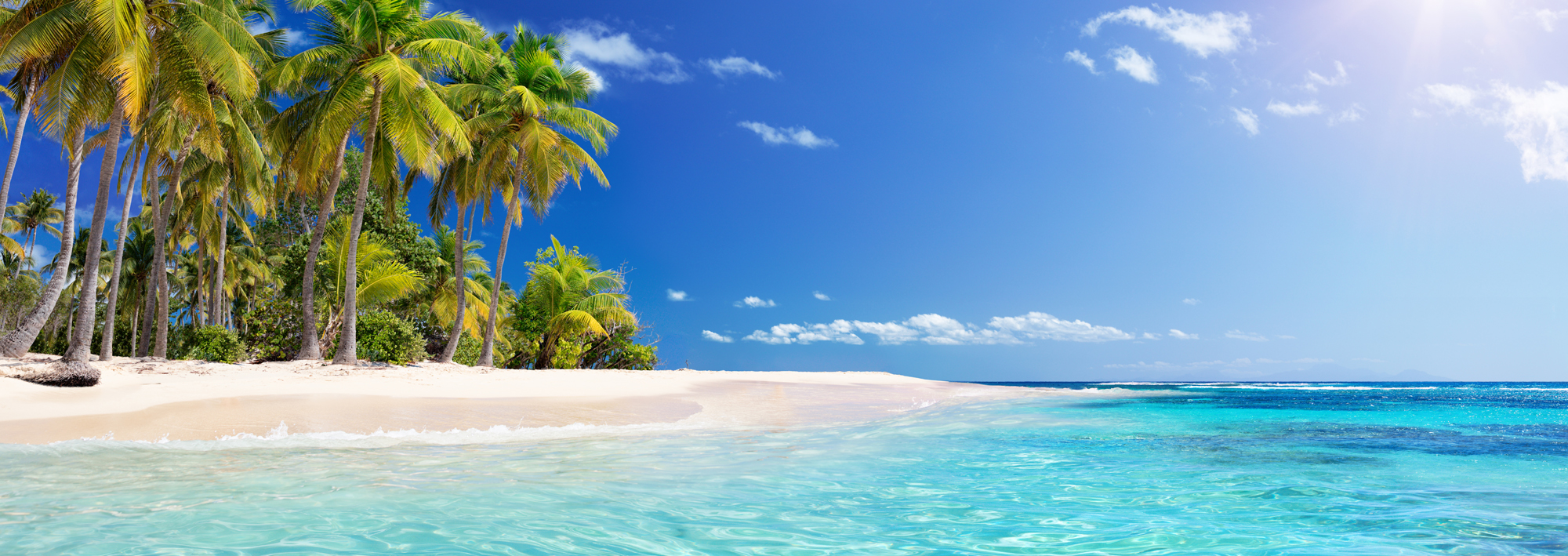 Tropical beach with blue water and palm trees