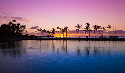 A row of palm trees in silhouette with blue water and a sunset