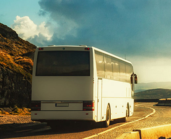 boscov's travel bus trips