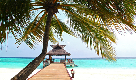 Palm tree, blue waters, sandy beach with a dock leading to a tropical hut