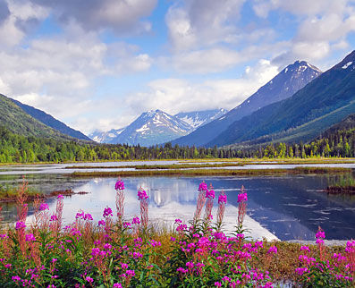 Alaska