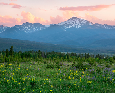 Western U.S. and International Tours