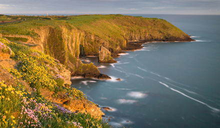 Cliffs of Moher in Ireland with lush landscaping and beautiful waters