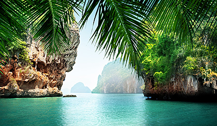 Green blue water with a rocky coast and palm trees