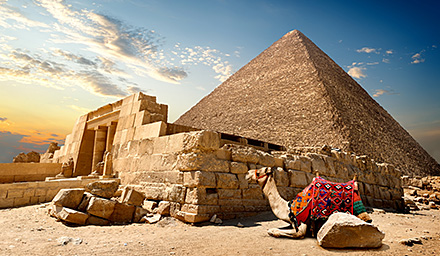 Ancient pyramid with a camel laying in the hot dessert sand